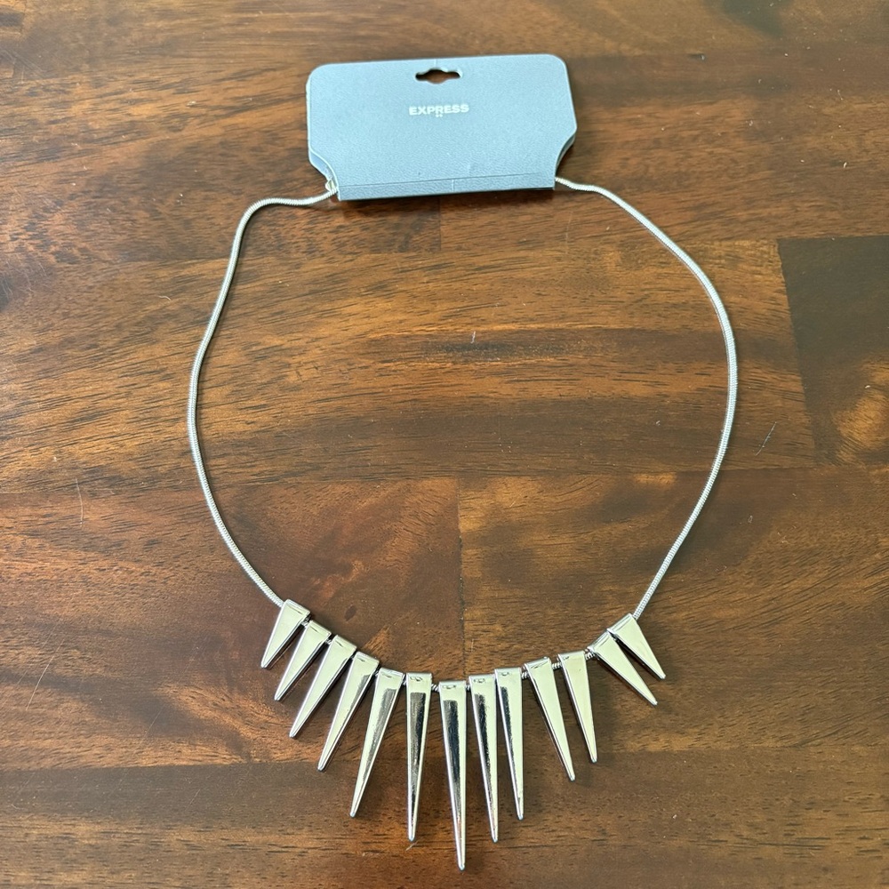 Express Silver Statement Necklace